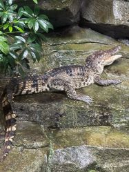 -Zoolung Zoolung动物主题公园(海信广场店)