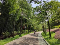 -云溪植物园