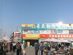 -中环花鸟鱼虫市场