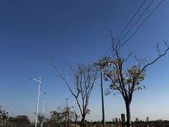 -春花秋色城市公园