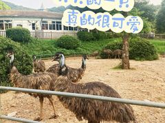 -无锡动物园·太湖欢乐园