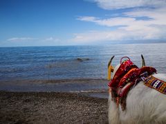 -青海湖国家重点风景名胜区