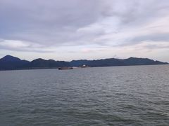 -招商蛇口邮轮母港(观光客运)