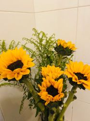 -美肤盾祛痘·问题肌头疗管理中心