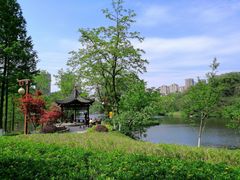 -重庆彩云湖湿地公园