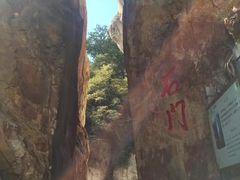 -嵩山少林文化旅游景区