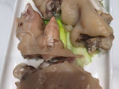 -丁老爷子苏香圆