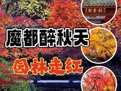 -秋霞圃
