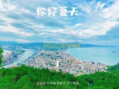 -广东惠东海龟国家级自然保护区