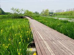 -永定河休闲森林公园