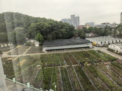 点击看大图 -森宝月子中心(白云山店)