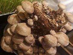 -捞神汤物料理(正大广场店)
