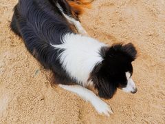 -西涌国际滨海旅游区