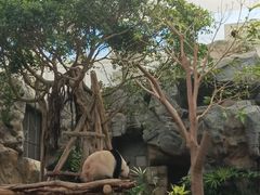 -香港海洋公园