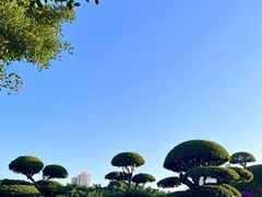 -南宁南湖公园