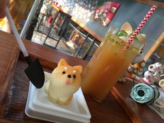 -柴犬高等学院·狗咖·柴犬售卖·宠物训练