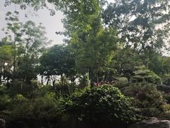 -东莞植物园
