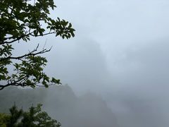 -商洛老君山旅游风景区