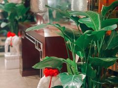 -山东老家(黄埔分店)
