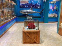 -多彩贵州城极地海洋世界