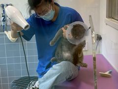 -宠颐生动物医院·心脏科·保险定点(锦阳分院)