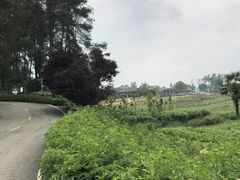 -保利石象湖景区