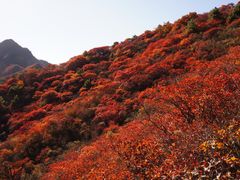-水峪民俗村