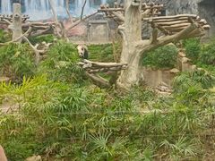 -石排湾郊野公园