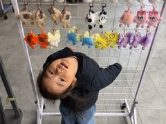 -鹅香四海·卤水火锅·砂锅粥·潮汕菜(宝安店)