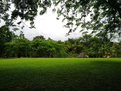 -中国科学院西双版纳热带植物园