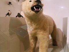 -墨尔本博物馆(Melbourne Museum)