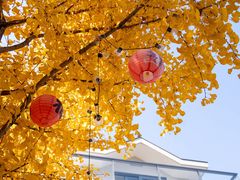 -杭州西湖银泰百货