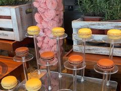 -嘉定凯悦·咖啡厅