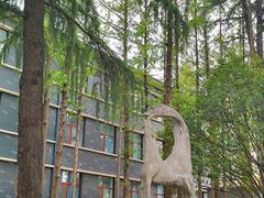 -山东大学(趵突泉校区)