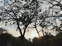 -飞翔公园(地铁站)