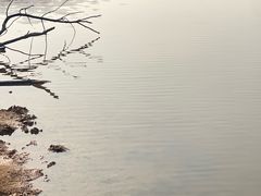 -青龙山国家森林公园