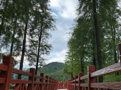 -广州市石门国家森林公园