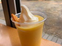 -雪绿茶博物馆