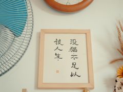 -猫宠乐园·专业洗护