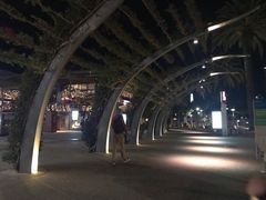 -布里斯班南岸公园