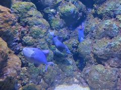 -郑州海洋馆