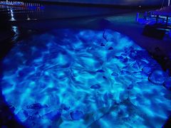 -望海观澜海景音乐餐吧(帆船基地店)