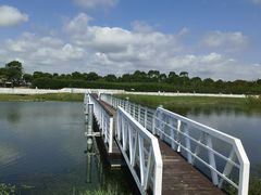 -春花秋色城市公园