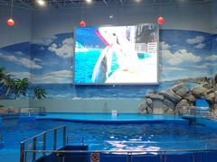 -福州罗源湾海洋世界旅游区