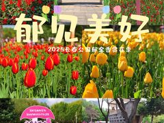 -长春公园(普阳街道)