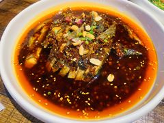 -铁公鸡·四川料理(天环广场店)