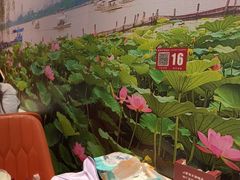 -老济南·地道济南菜(大明湖店)