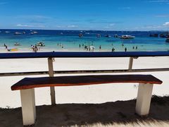 -月光岛