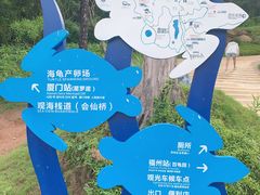 -广东惠东海龟国家级自然保护区