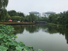 -城市运动公园(未央区)